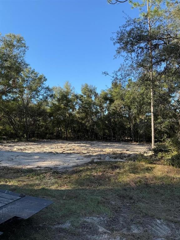 13831 Southwest 89 Circle Ocala, FL 34473 - Photo 2 of 4 a view of ocean view with beach