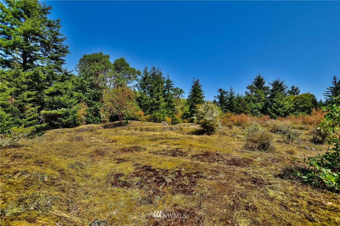 0 View Ridge East San Juan Island, WA 98250 - Photo 1 of 10 Gallery Image 1