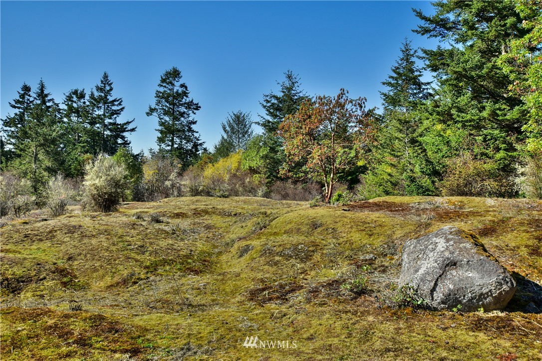 0 View Ridge East San Juan Island, WA 98250 - Photo 2 of 10 Gallery Image 2
