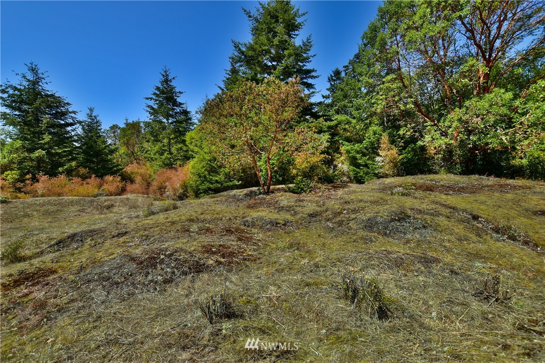0 View Ridge East San Juan Island, WA 98250 - Photo 3 of 10 Gallery Image 3