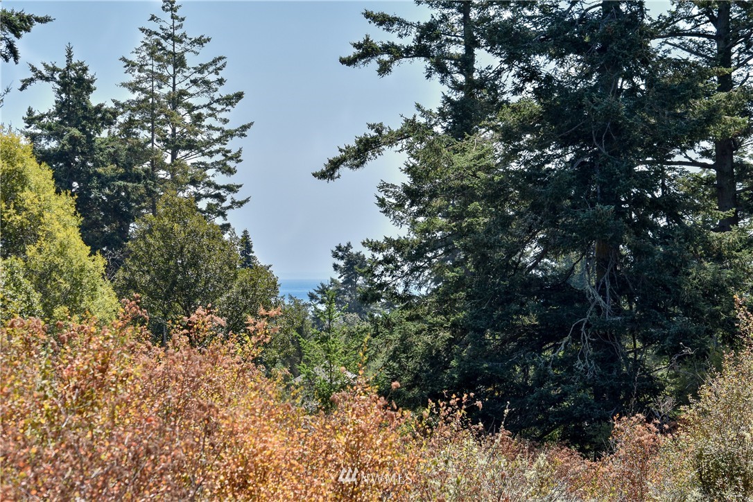 0 View Ridge East San Juan Island, WA 98250 - Photo 4 of 10 Gallery Image 4