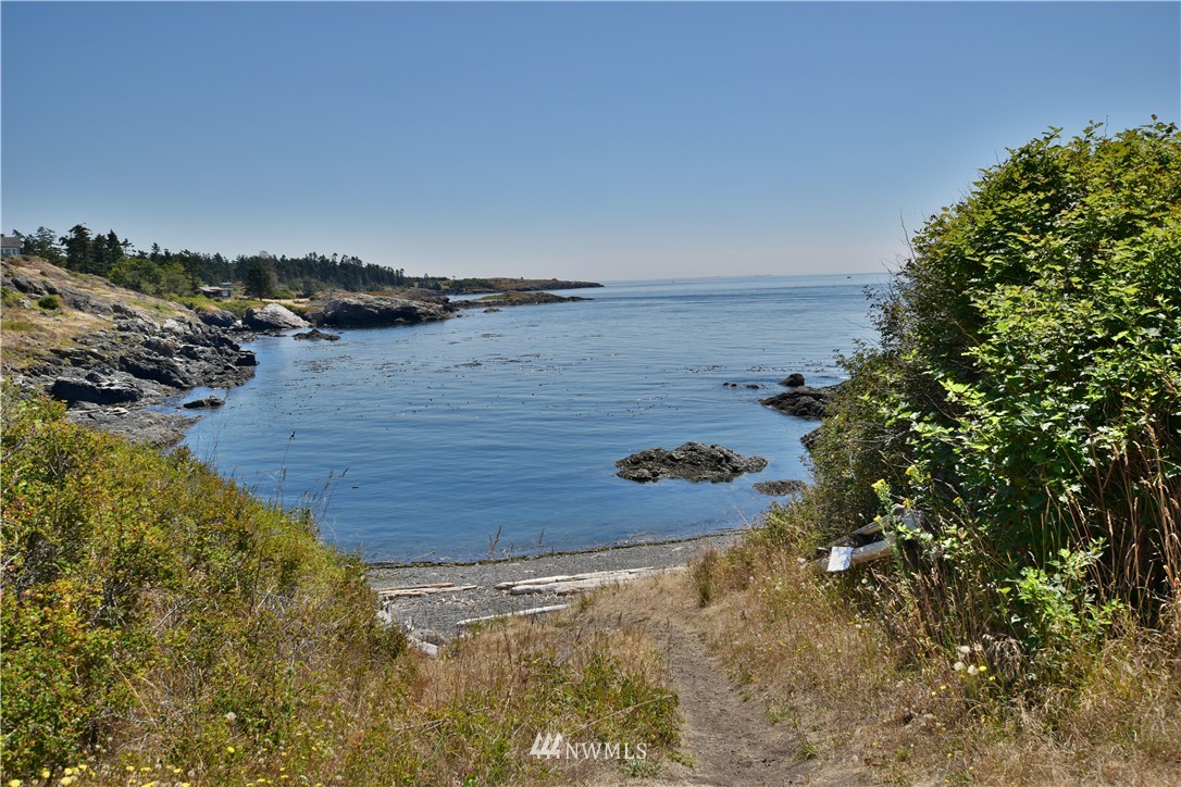 0 View Ridge East San Juan Island, WA 98250 - Photo 5 of 10 Gallery Image 5