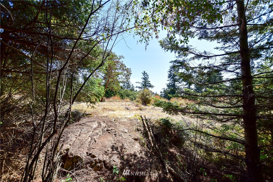 0 View Ridge East San Juan Island, WA 98250 - Photo 8 of 10 Gallery Image 8