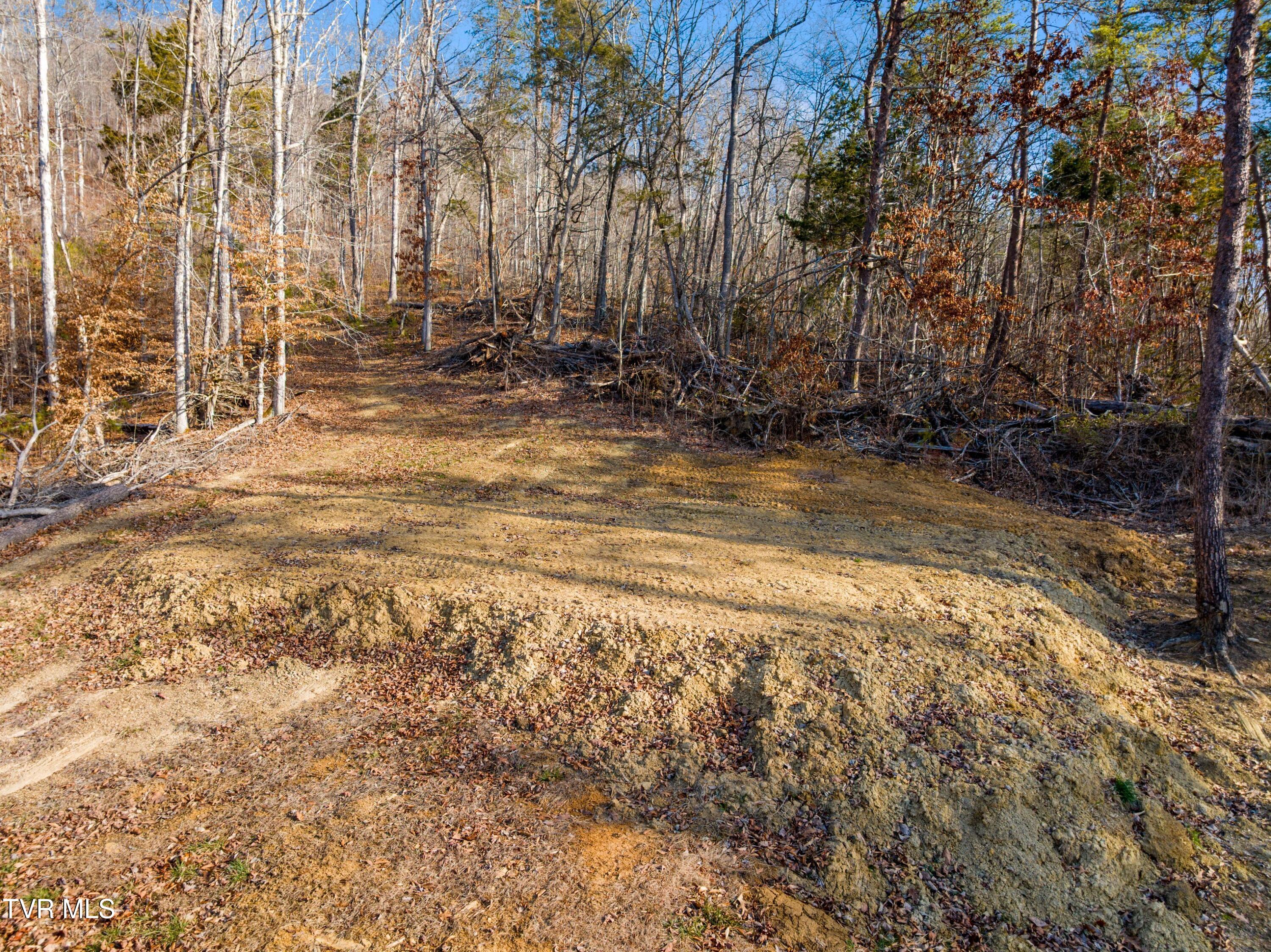 1290 Butcher Valley Road Rogersville, TN 37857 - Photo 12 of 17 014-ButcherValleyRoad-Rogersville-TN-378