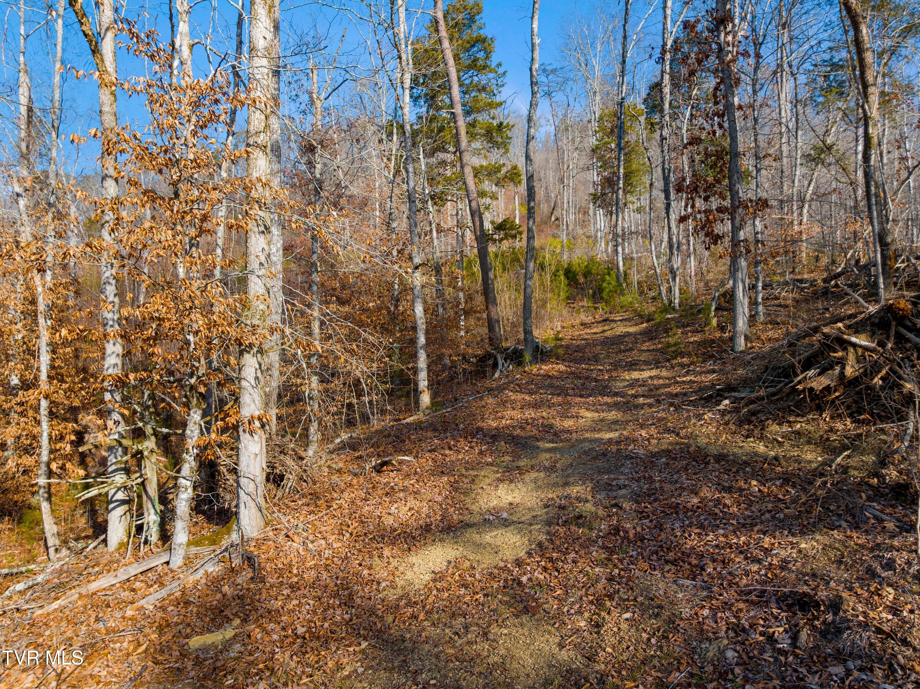 1290 Butcher Valley Road Rogersville, TN 37857 - Photo 13 of 17 015-ButcherValleyRoad-Rogersville-TN-378