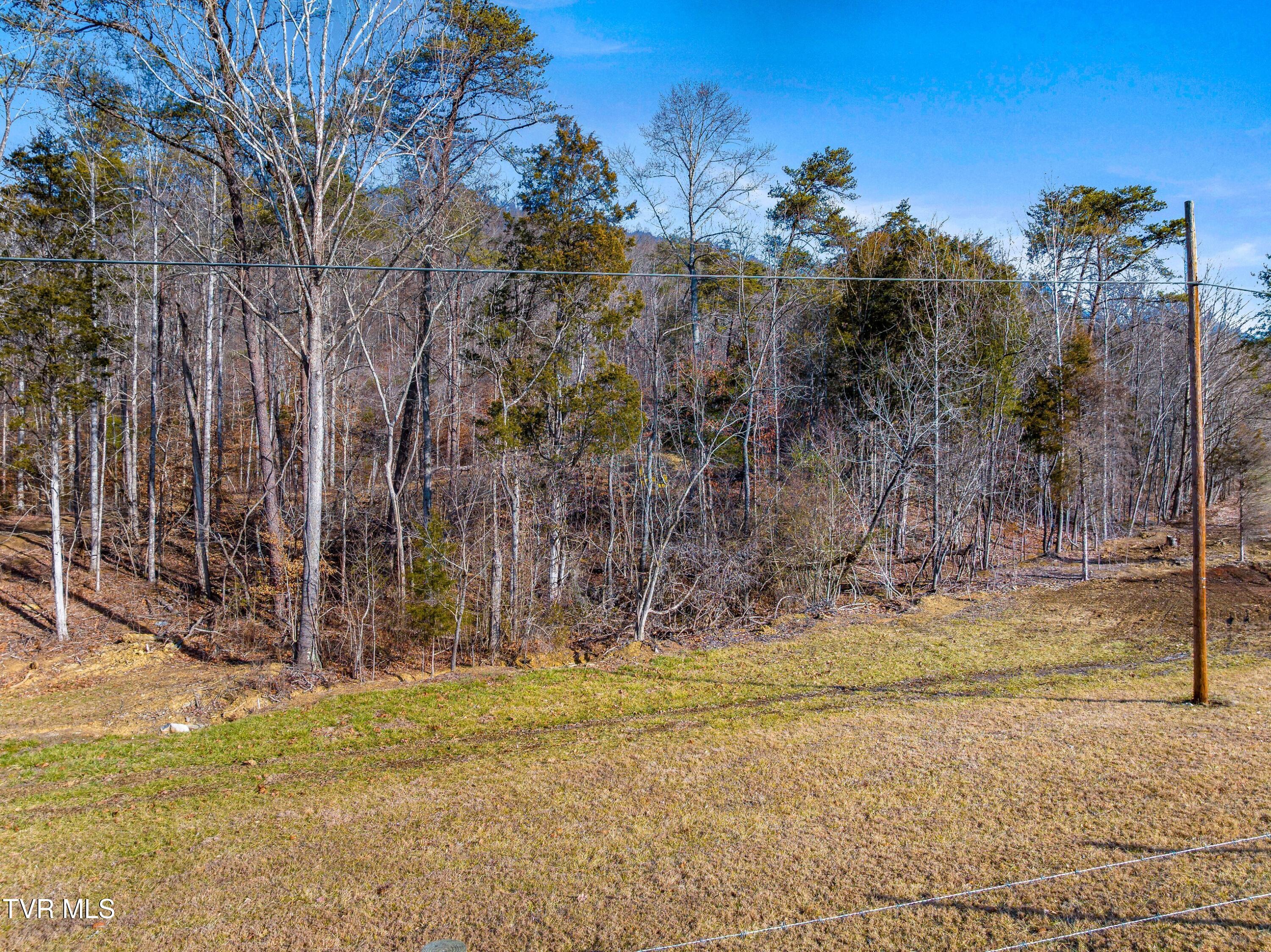 1290 Butcher Valley Road Rogersville, TN 37857 - Photo 3 of 17 003-ButcherValleyRoad-Rogersville-TN-378