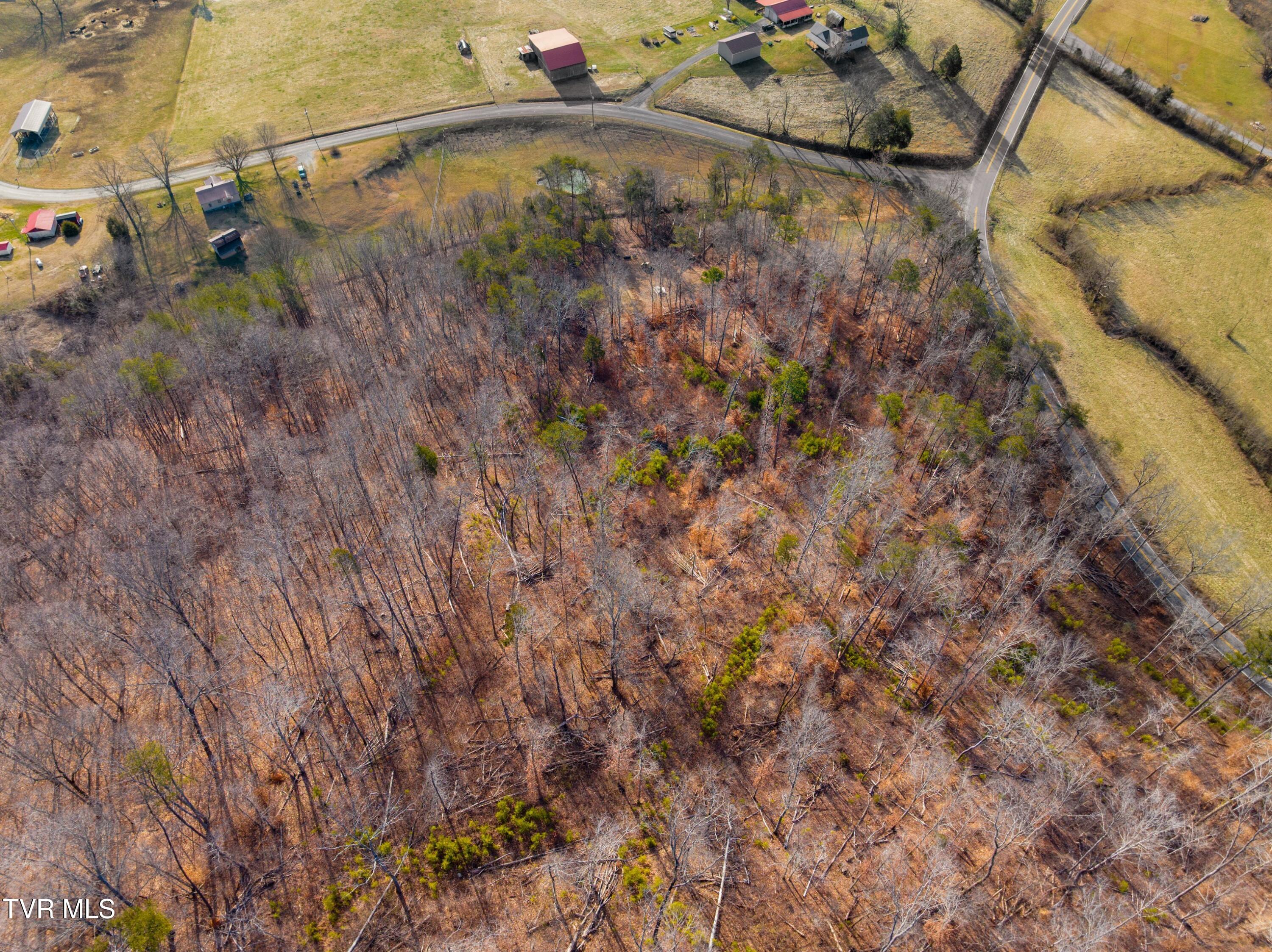 1290 Butcher Valley Road Rogersville, TN 37857 - Photo 5 of 17 006-ButcherValleyRoad-Rogersville-TN-378