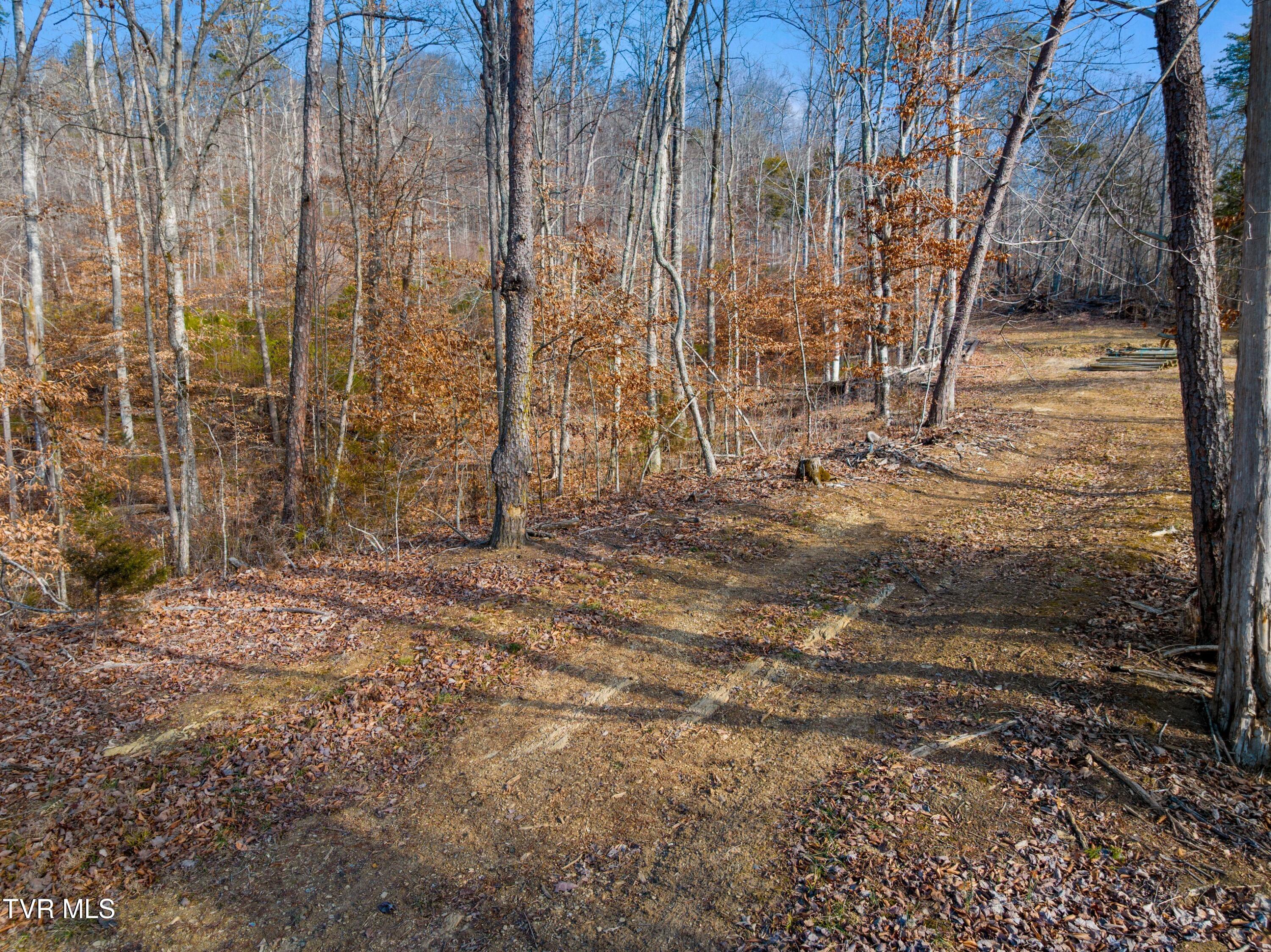 1290 Butcher Valley Road Rogersville, TN 37857 - Photo 9 of 17 011-ButcherValleyRoad-Rogersville-TN-378