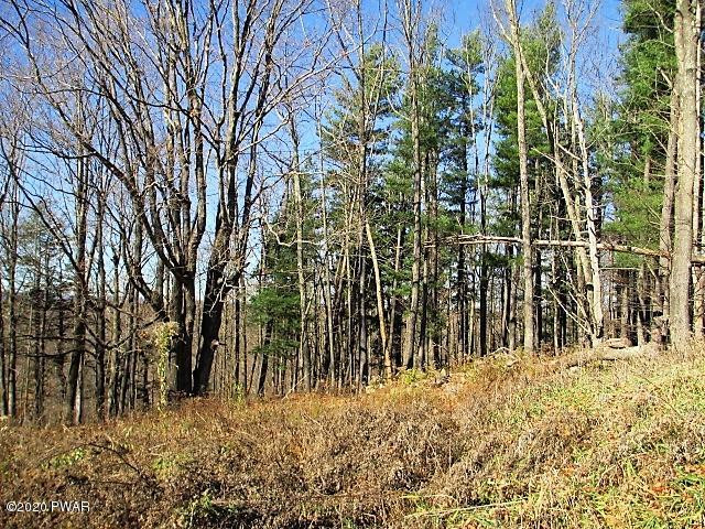 5 Avoy Heights Road Lake Ariel, PA 18436 - Photo 8 of 13 4