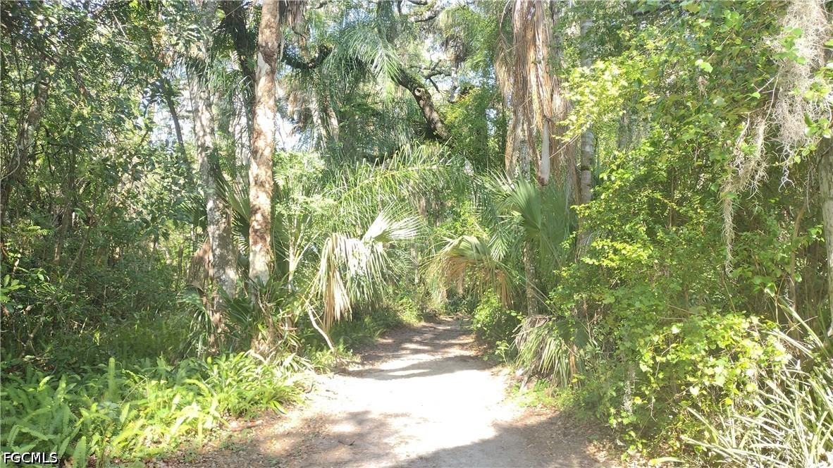 1469 Coffee Mill Hammock Road Southwest Moore Haven, FL 33471 - Photo 35 of 40