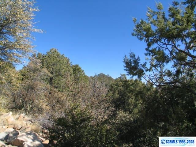 9 Radio Tower Road Silver City, NM 88053 - Photo 21 of 30 Gallery Image 21