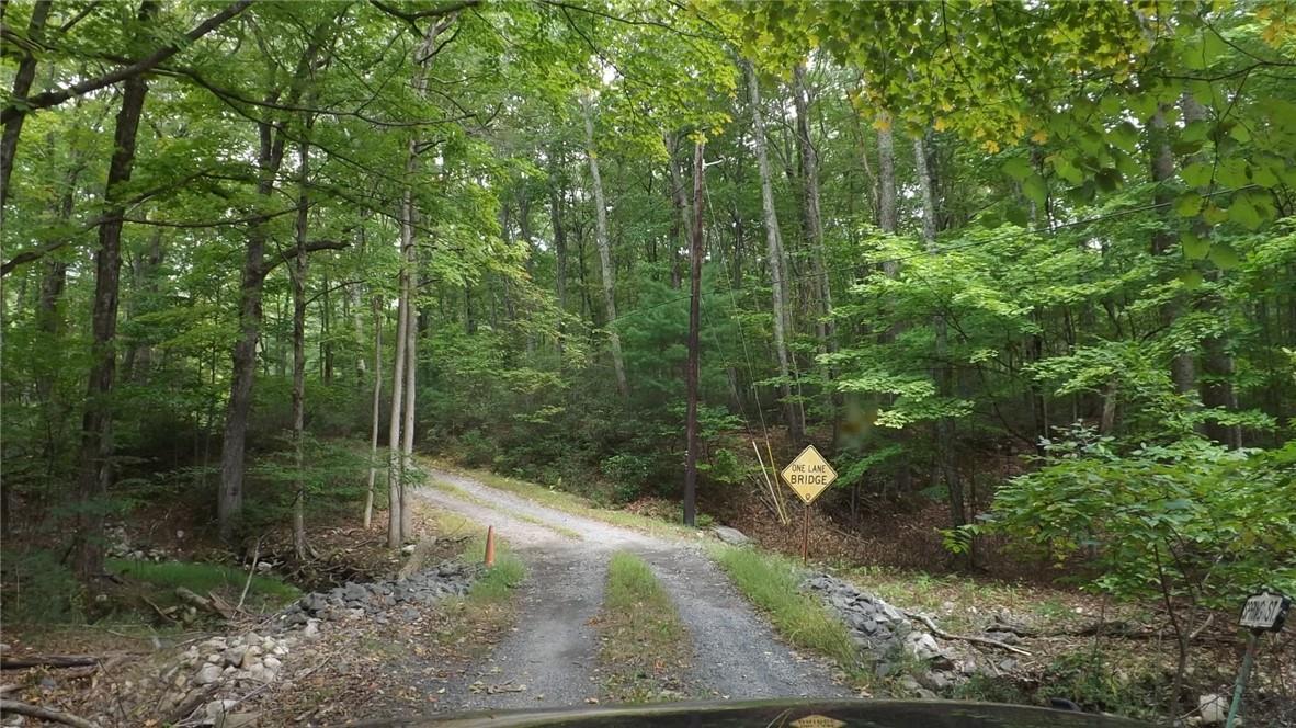 Roosa Gap Road Wurtsboro, NY 12790 - Photo 12 of 26 a view of a forest