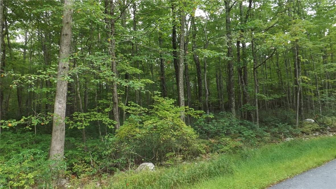 Roosa Gap Road Wurtsboro, NY 12790 - Photo 13 of 26 a view of forest