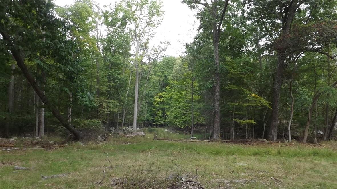 Roosa Gap Road Wurtsboro, NY 12790 - Photo 14 of 26 a view of outdoor space with green field and trees