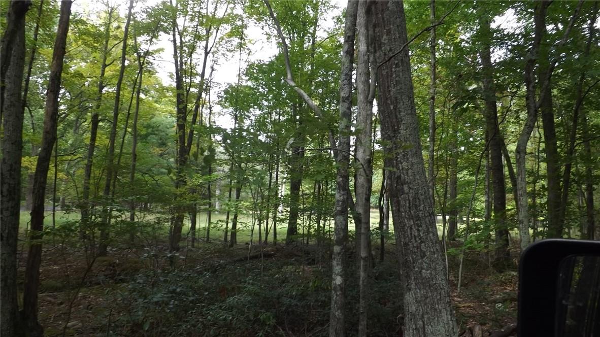 Roosa Gap Road Wurtsboro, NY 12790 - Photo 16 of 26 a view of forest