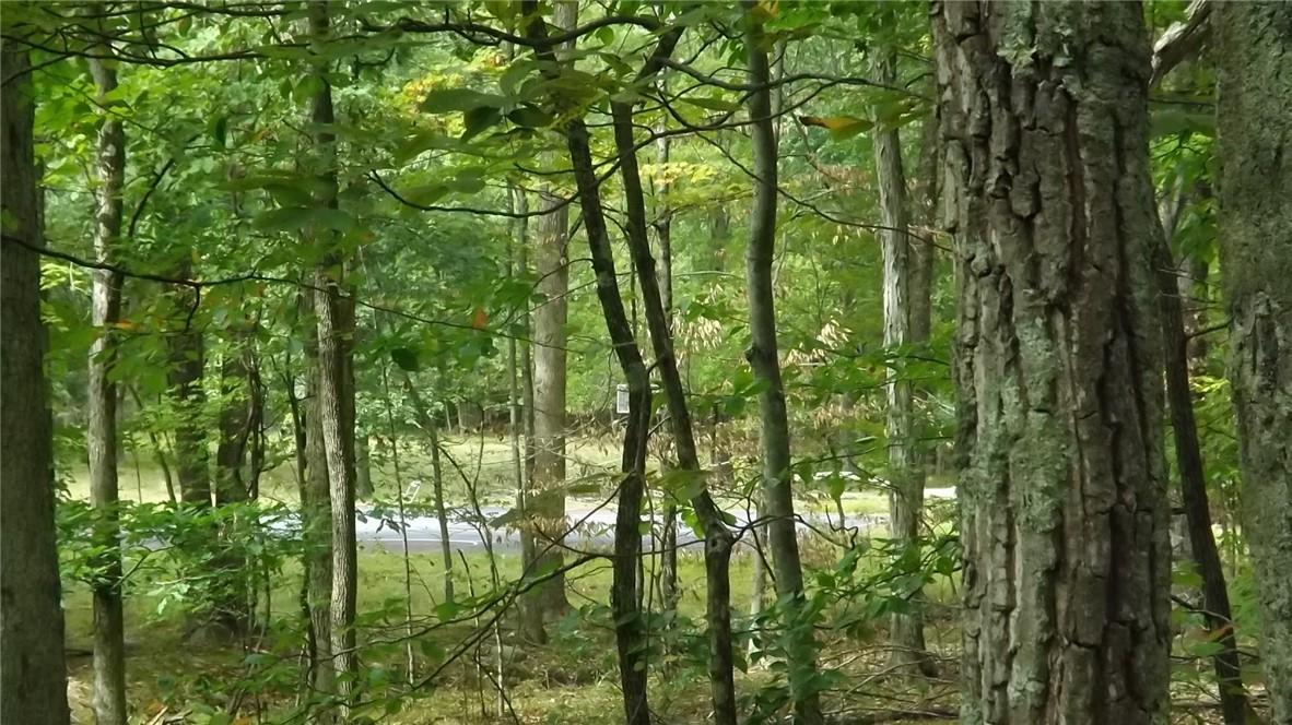 Roosa Gap Road Wurtsboro, NY 12790 - Photo 17 of 26 a backyard of a house with lots of green space