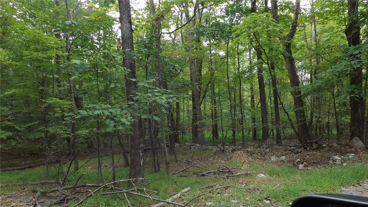 Roosa Gap Road Wurtsboro, NY 12790 - Photo 20 of 26 a view of a forest