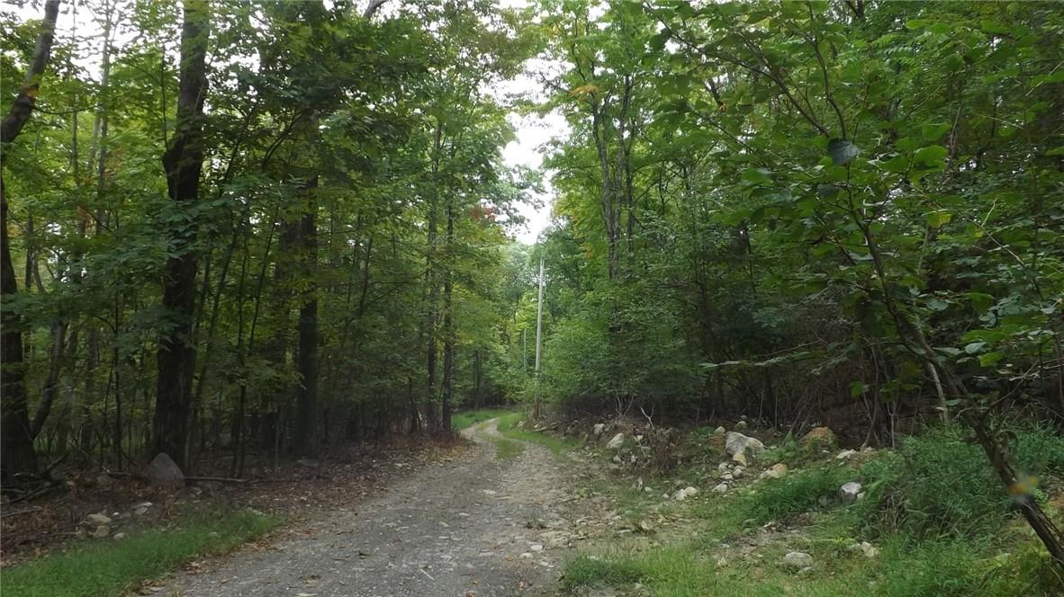 Roosa Gap Road Wurtsboro, NY 12790 - Photo 21 of 26 a view of a forest with trees in the background