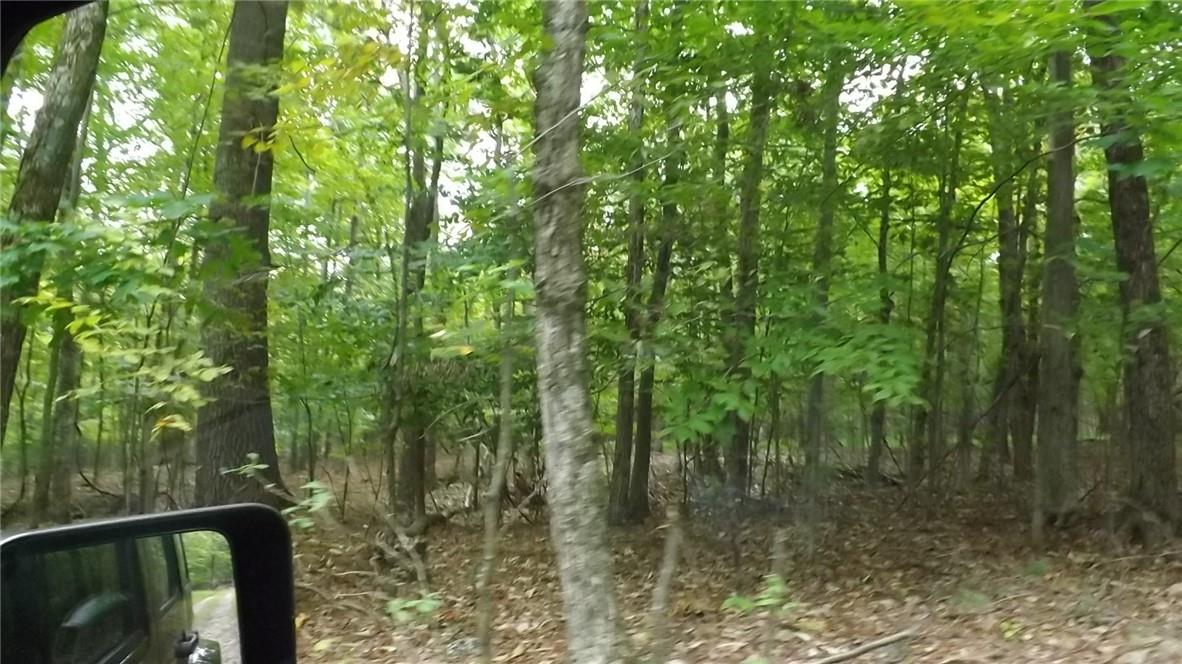 Roosa Gap Road Wurtsboro, NY 12790 - Photo 24 of 26 a view of forest