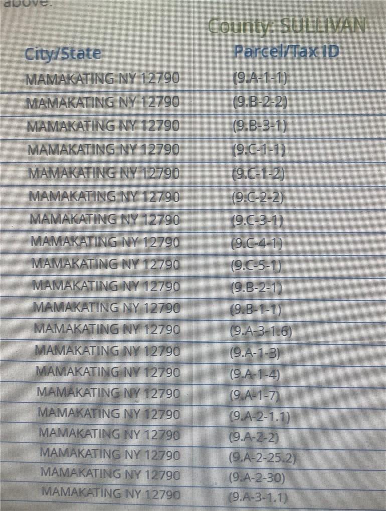 Roosa Gap Road Wurtsboro, NY 12790 - Photo 26 of 26 a bathroom with a shower