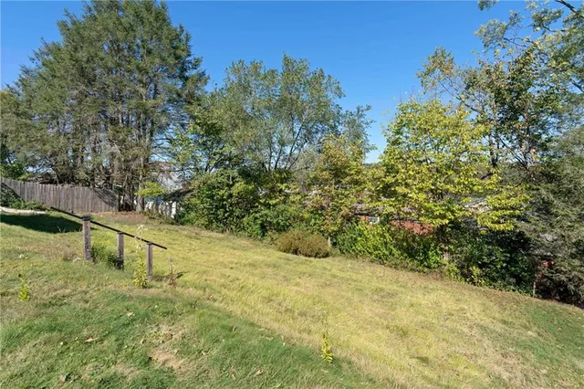 a view of backyard with green space
