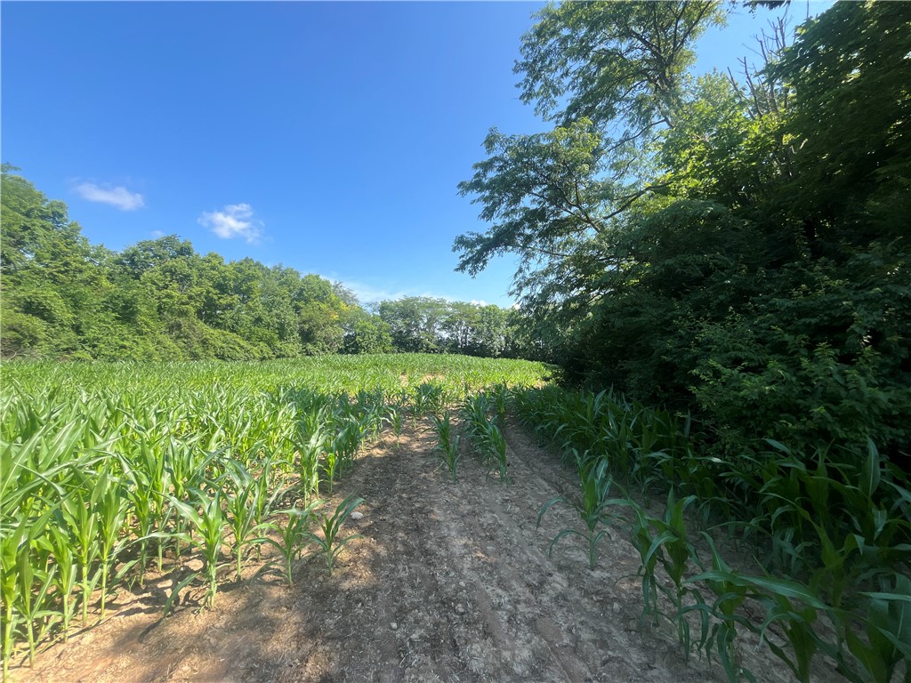 0 Stephen Young Road Camden, OH 45311 - Photo 35 of 57