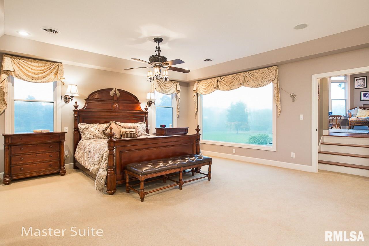 8389 Tolan Road Pleasant Plains, IL 62677 - Photo 18 of 41 Gallery Image 18