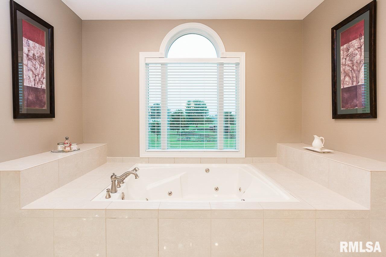 8389 Tolan Road Pleasant Plains, IL 62677 - Photo 21 of 41 Gallery Image 21
