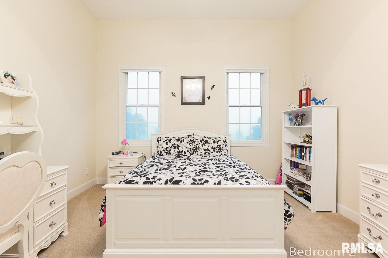 8389 Tolan Road Pleasant Plains, IL 62677 - Photo 24 of 41 Gallery Image 24