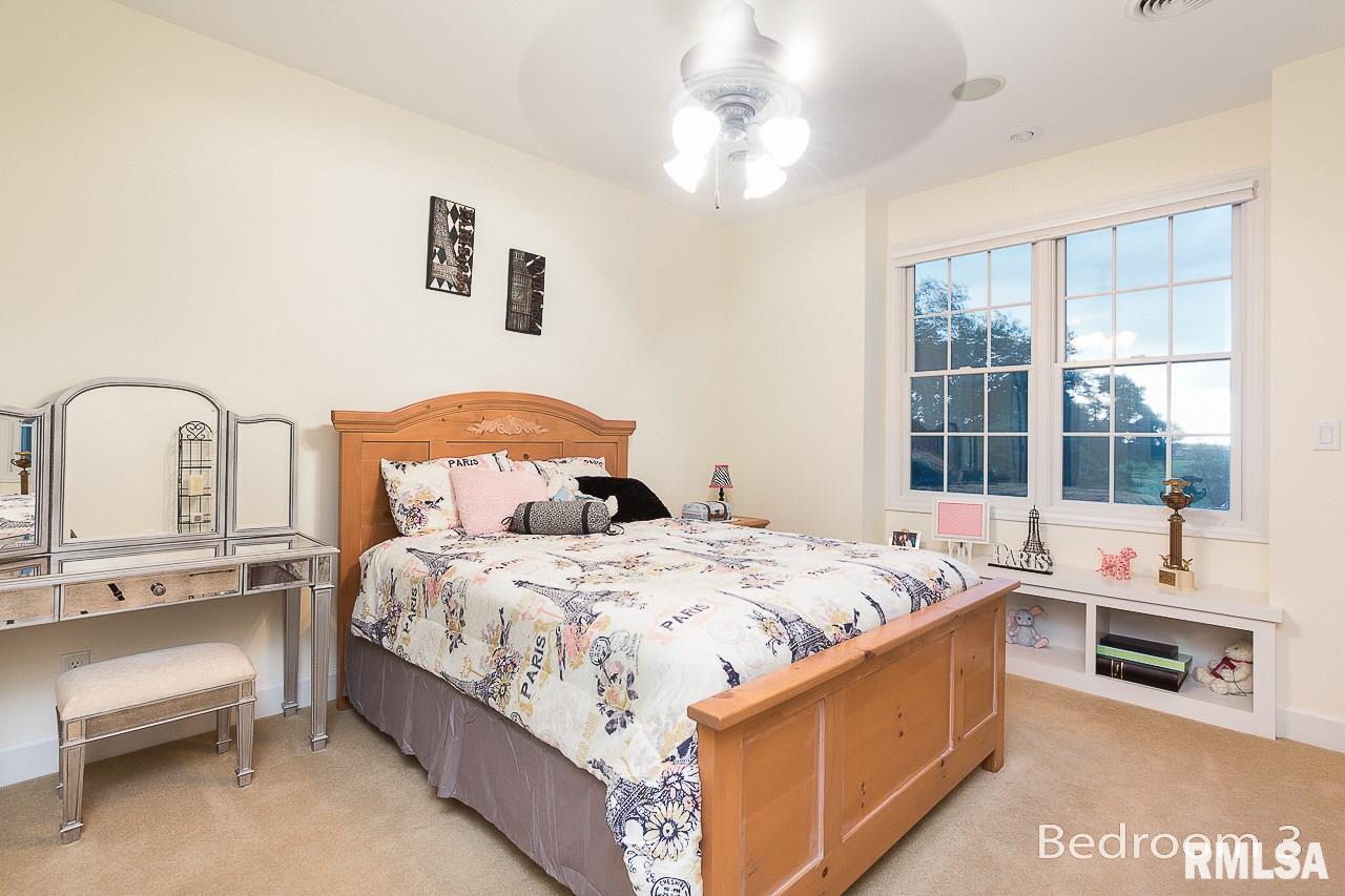 8389 Tolan Road Pleasant Plains, IL 62677 - Photo 25 of 41 Gallery Image 25