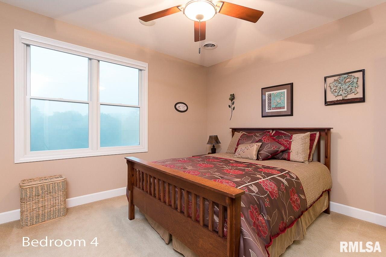 8389 Tolan Road Pleasant Plains, IL 62677 - Photo 26 of 41 Gallery Image 26