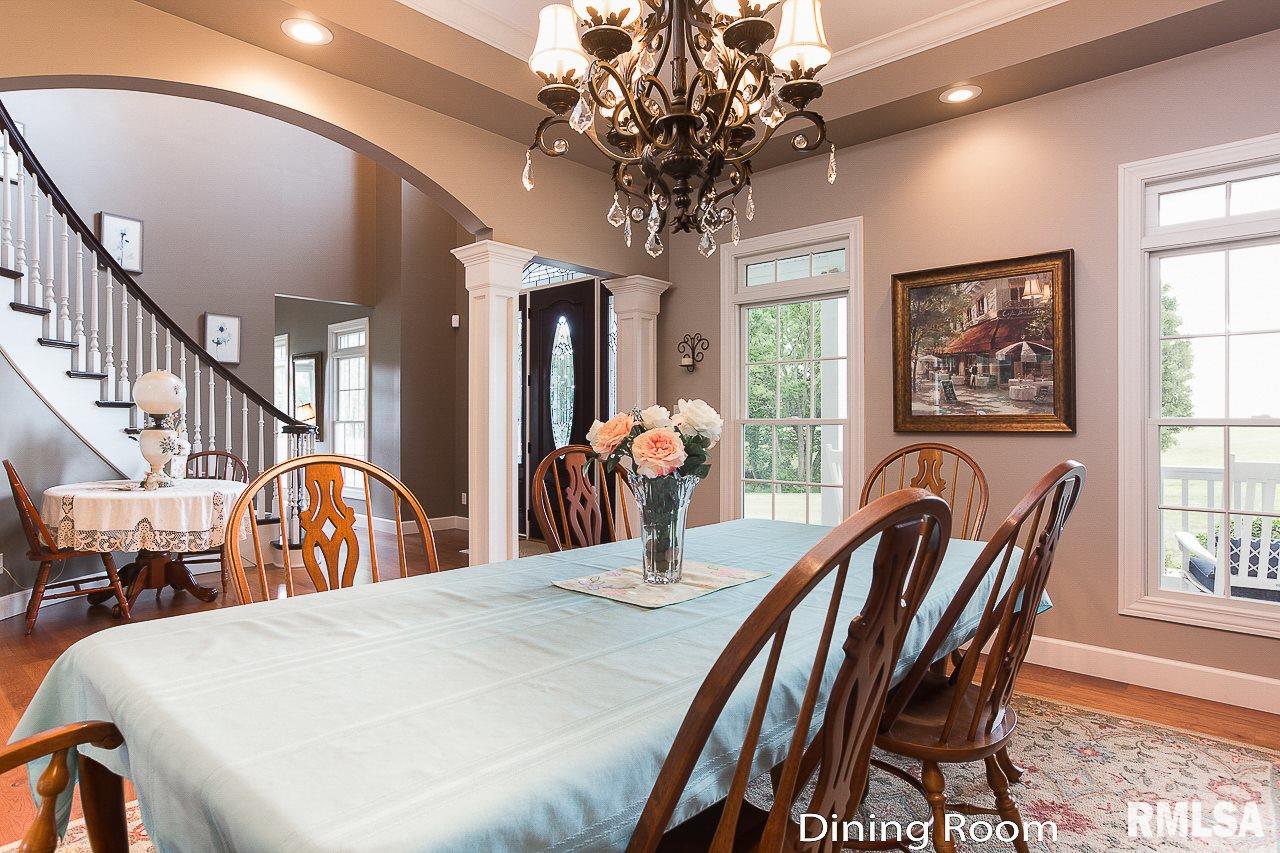 8389 Tolan Road Pleasant Plains, IL 62677 - Photo 6 of 41 Gallery Image 6