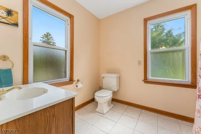a bathroom with a sink a toilet and a shower