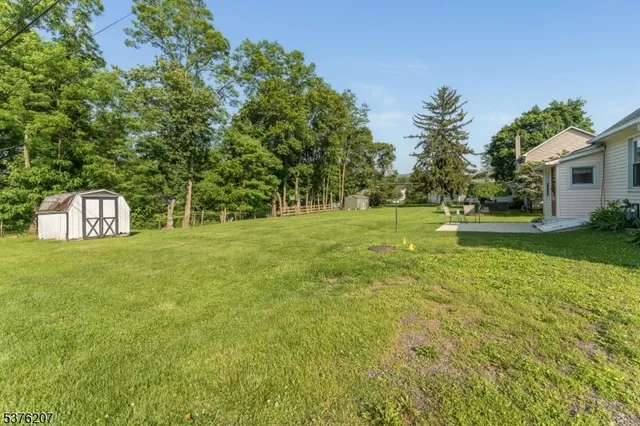 a view of a trees in a yard