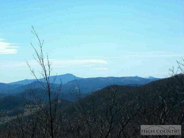 Stoney Tree Road West Jefferson, NC 28694 - Photo 1 of 1 Gallery Image 1