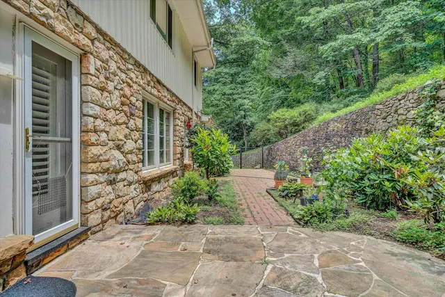 a view of a backyard with plants