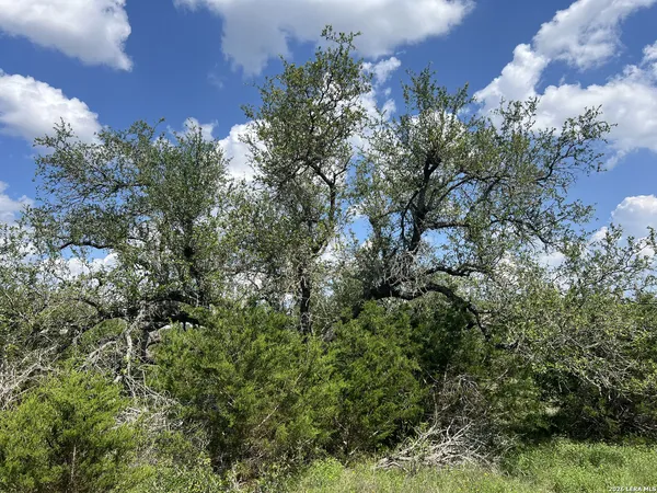 $168,000 | 636 Rock Trail Place, Spring Branch, TX 78070