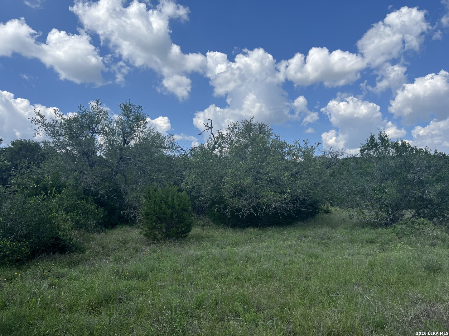 636 Rock Trail Place Spring Branch, TX 78070 - Photo 4 of 9