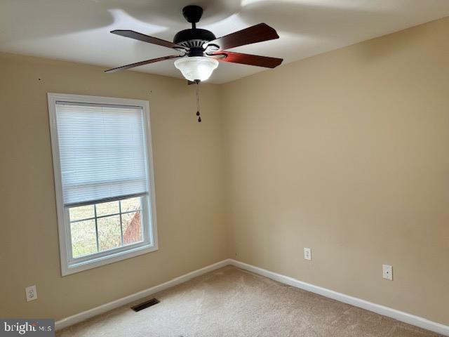 18089 North Merrimac Road Culpeper, VA 22701 - Photo 14 of 26 Gallery Image 14