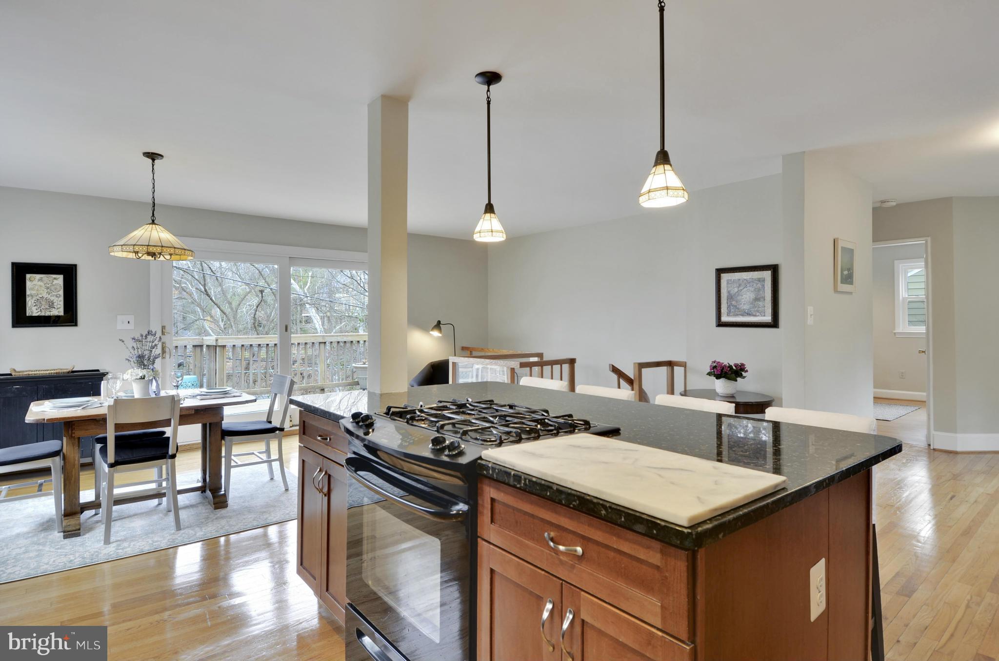5223 Wyoming Road Bethesda, MD 20816 - Photo 2 of 30 Kitchen