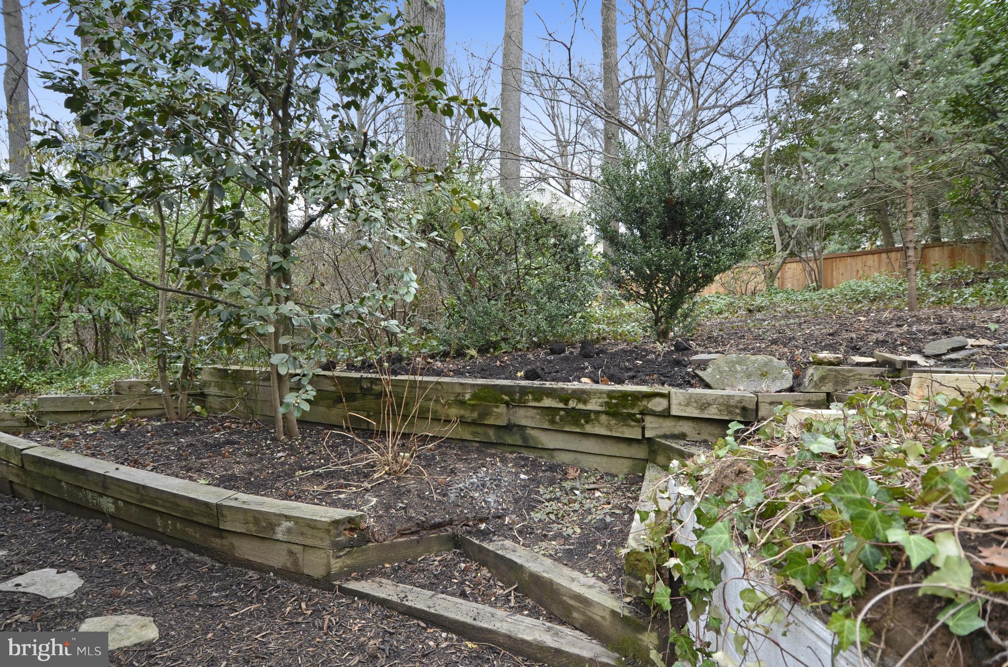 5223 Wyoming Road Bethesda, MD 20816 - Photo 17 of 30 Rear Garden