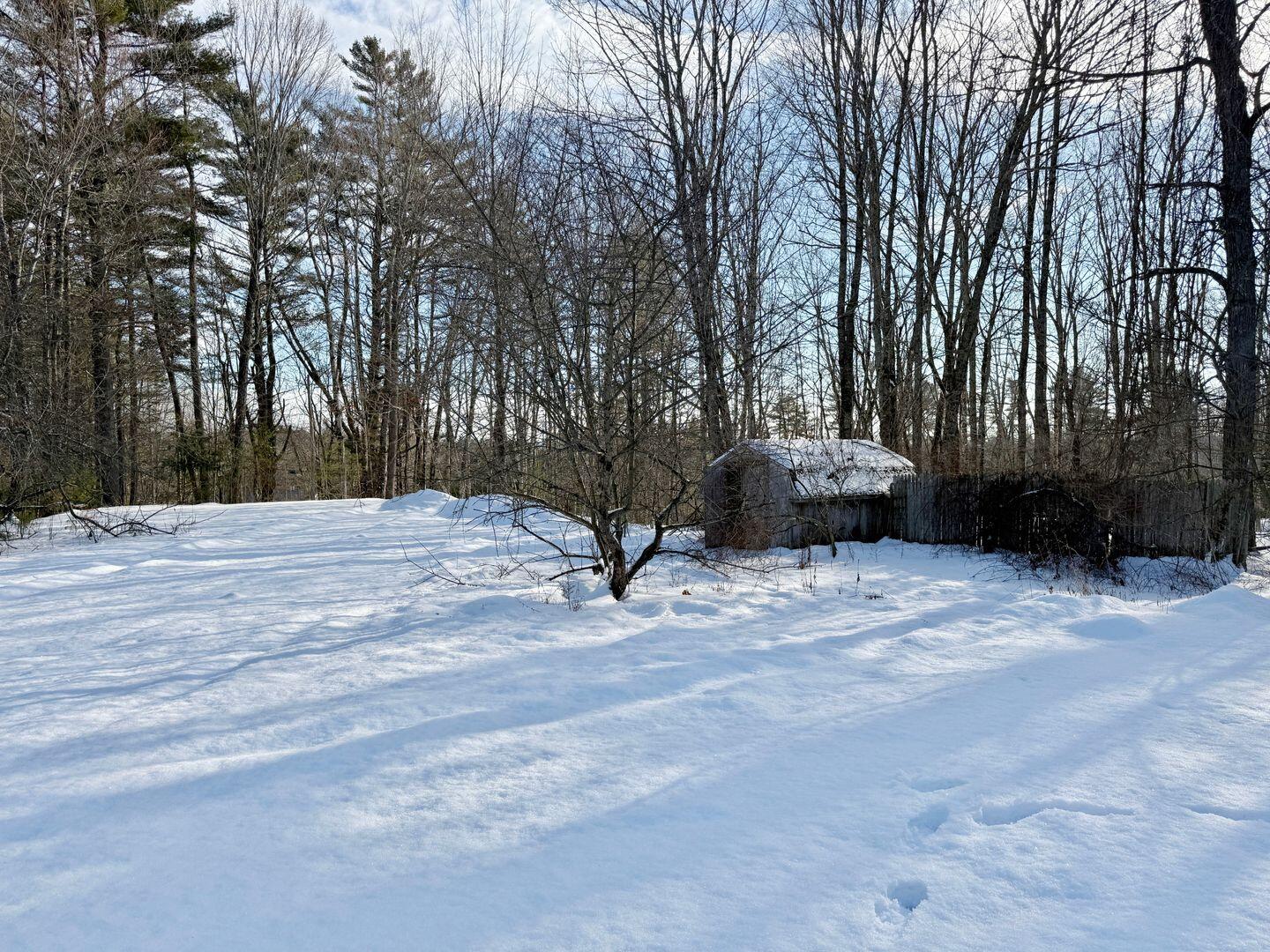 358 Cardville Road Greenbush, ME 04418 - Photo 4 of 17 Back Yard