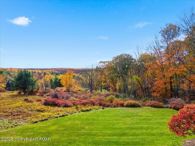 a view of outdoor space and garden