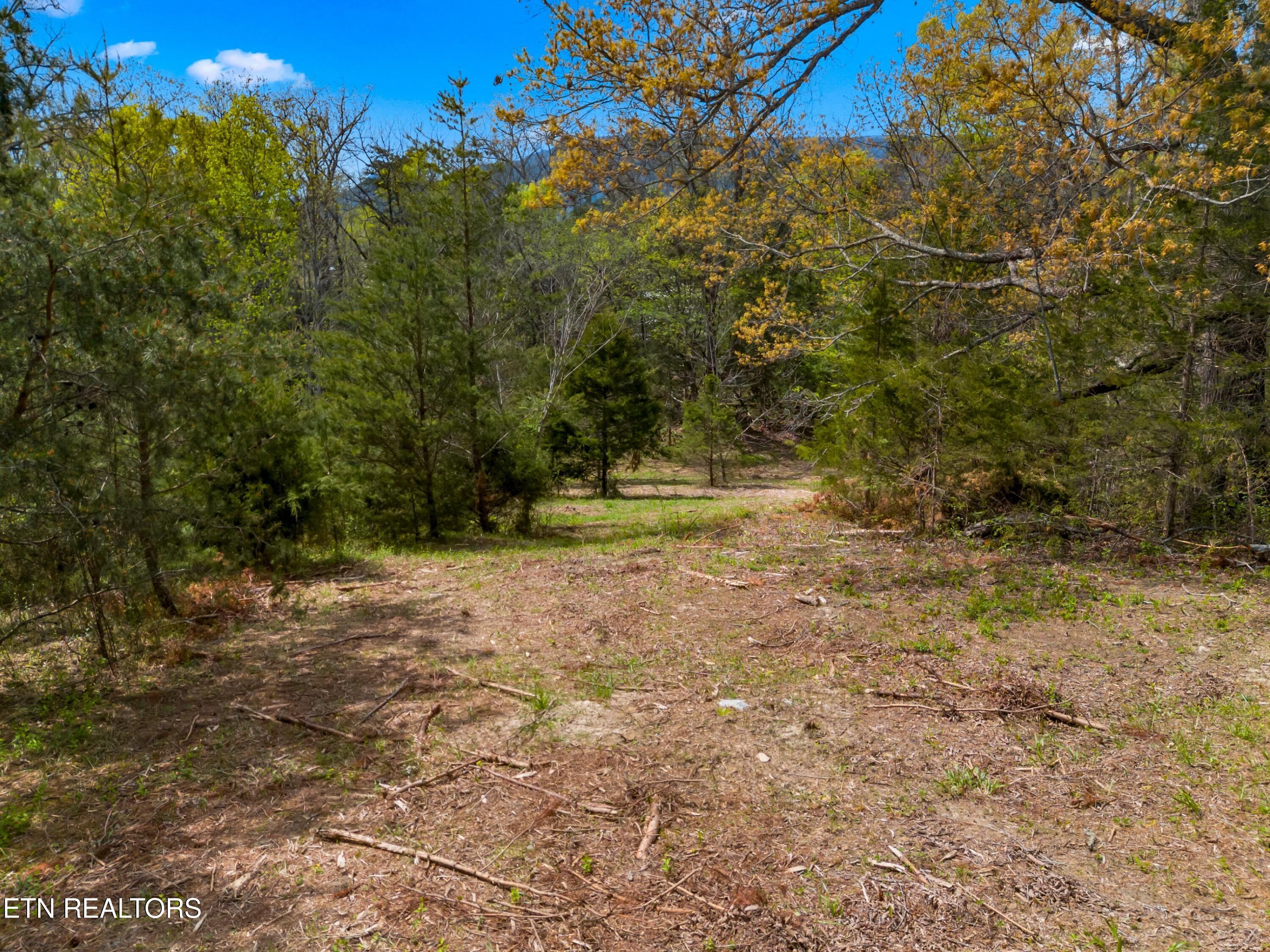 Bogard Road Newport, TN 37821 - Photo 11 of 38 009-BogardRoad-Cosby-TN-SMALL