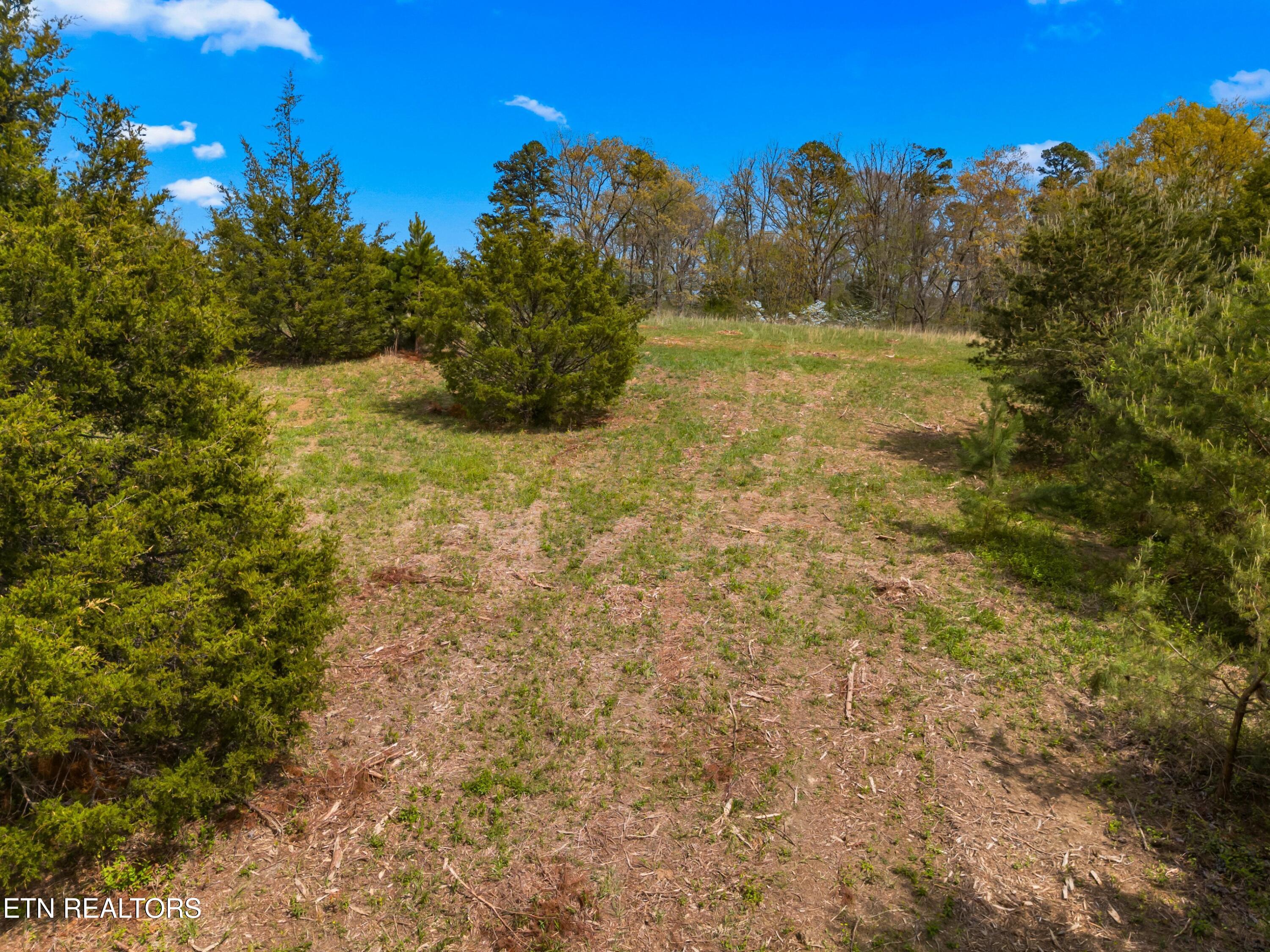 Bogard Road Newport, TN 37821 - Photo 12 of 38 010-BogardRoad-Cosby-TN-SMALL