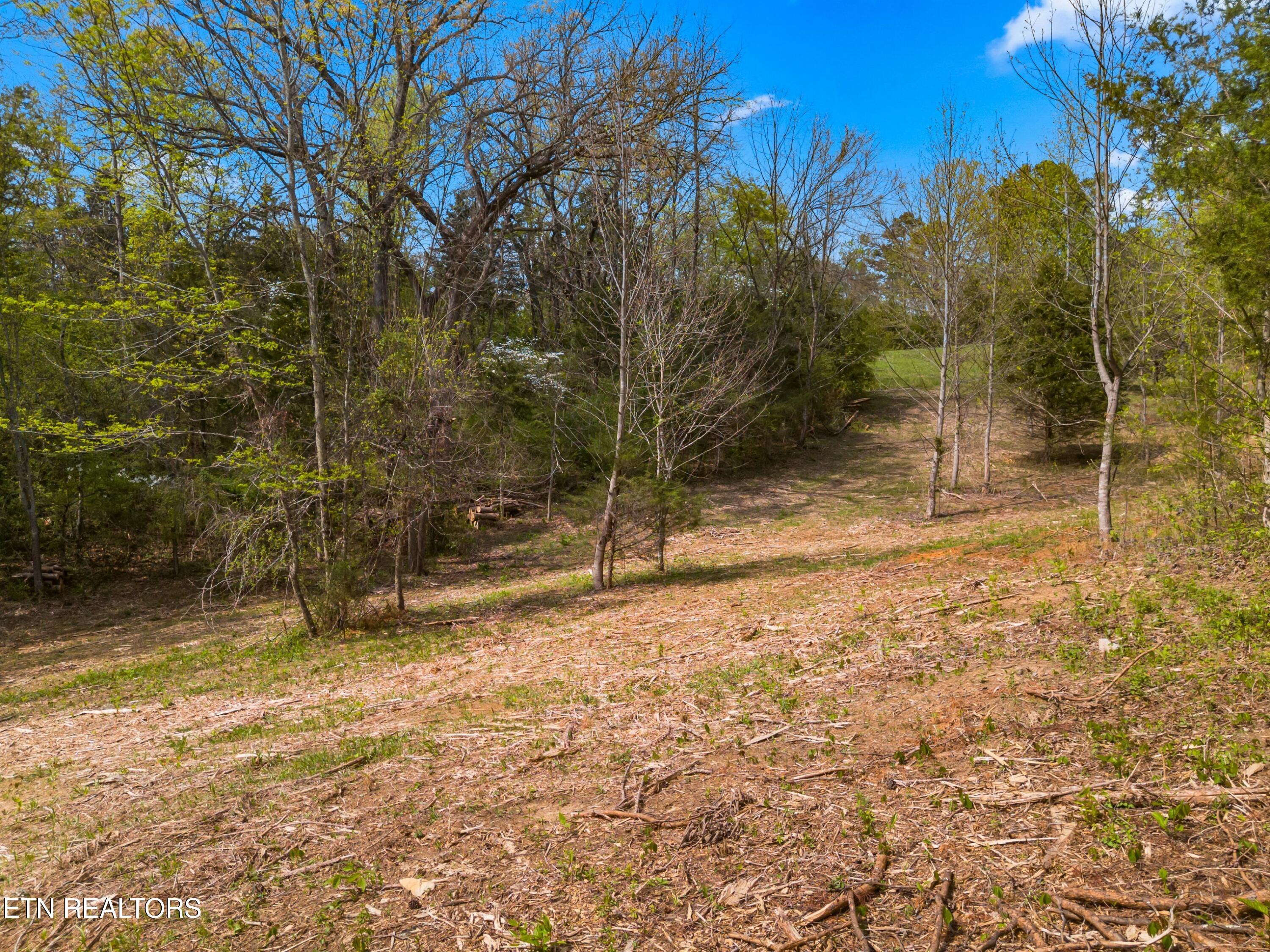 Bogard Road Newport, TN 37821 - Photo 13 of 38 011-BogardRoad-Cosby-TN-SMALL