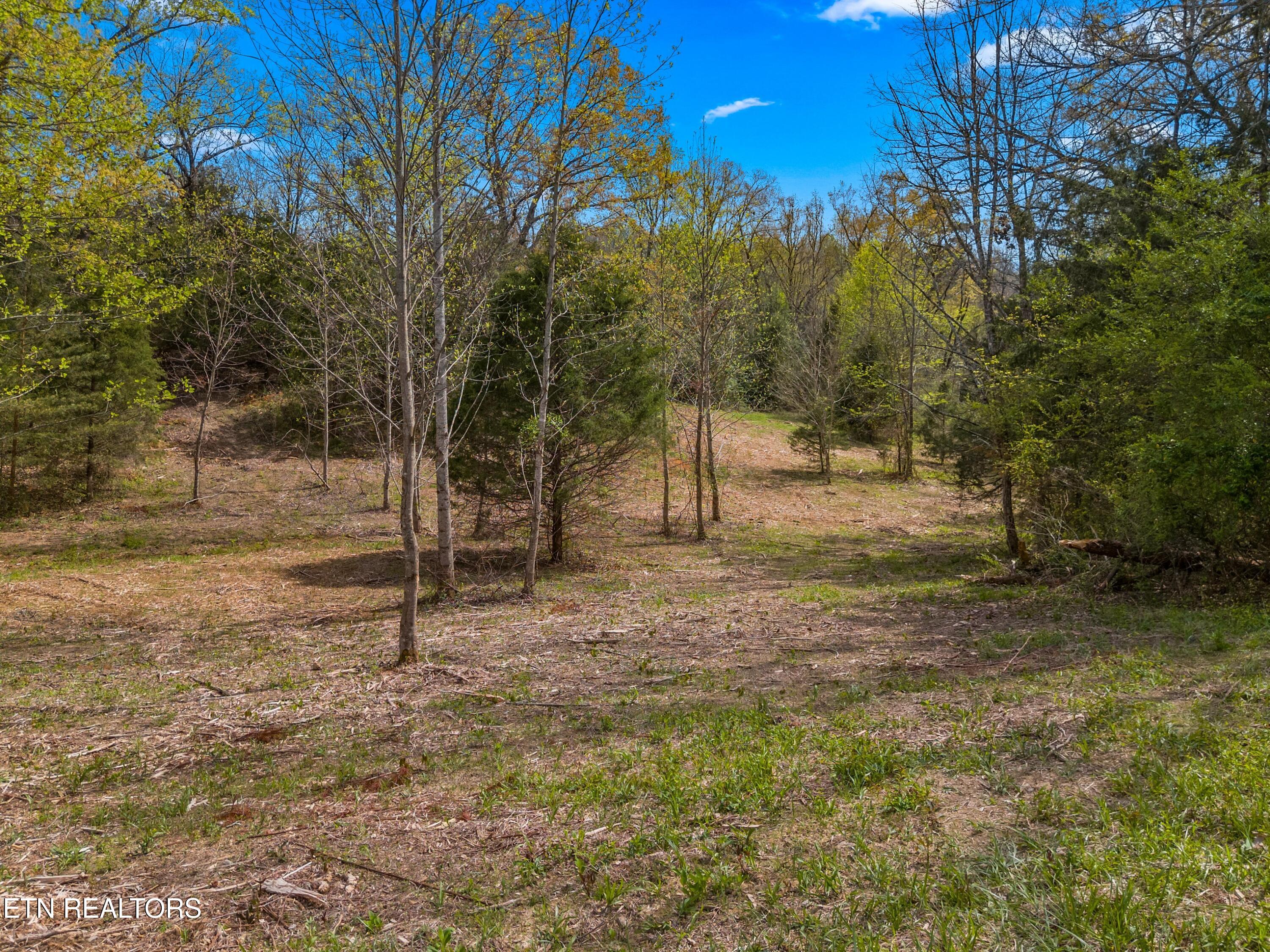 Bogard Road Newport, TN 37821 - Photo 14 of 38 016-BogardRoad-Cosby-TN-SMALL