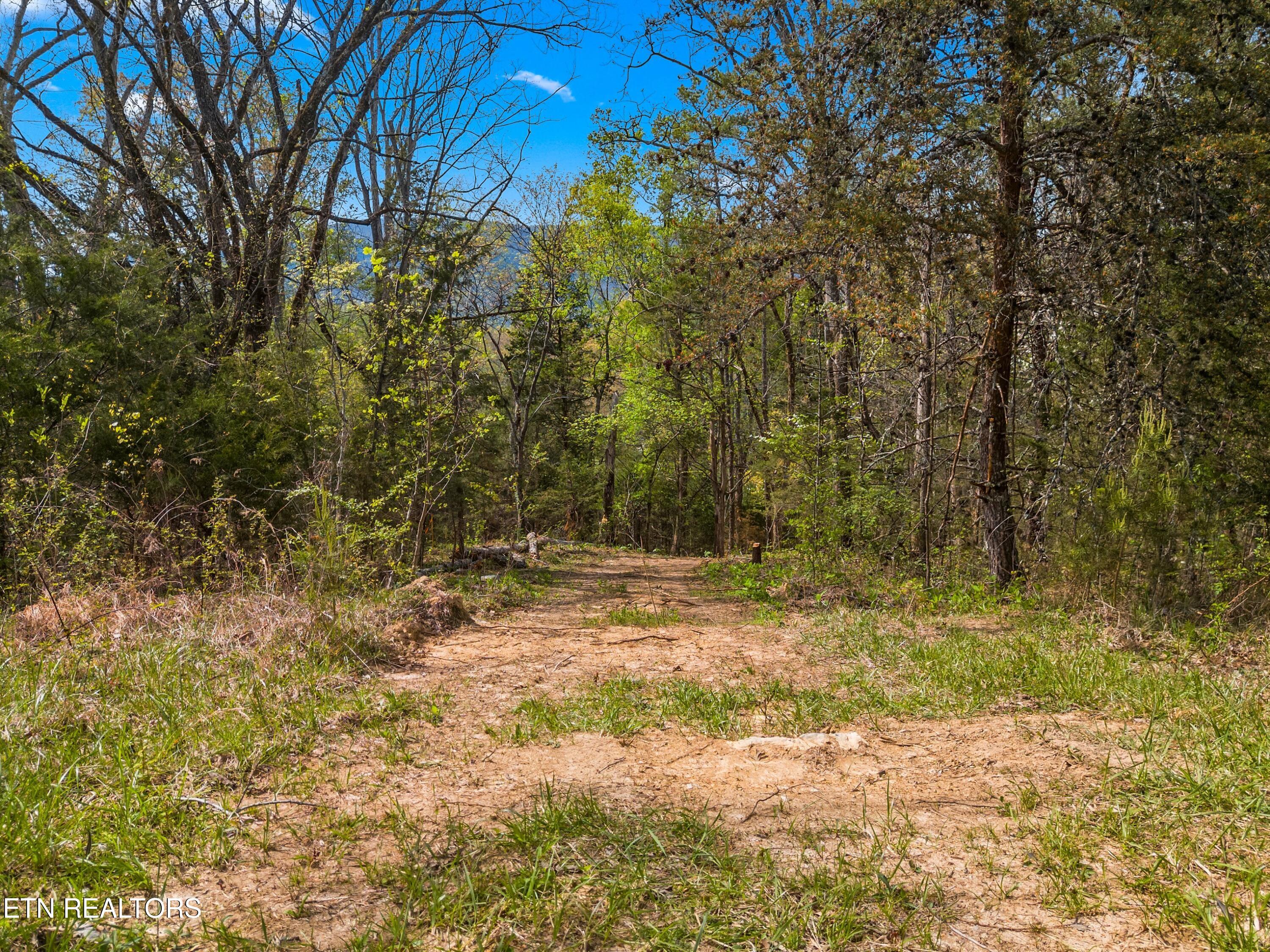 Bogard Road Newport, TN 37821 - Photo 15 of 38 017-BogardRoad-Cosby-TN-SMALL