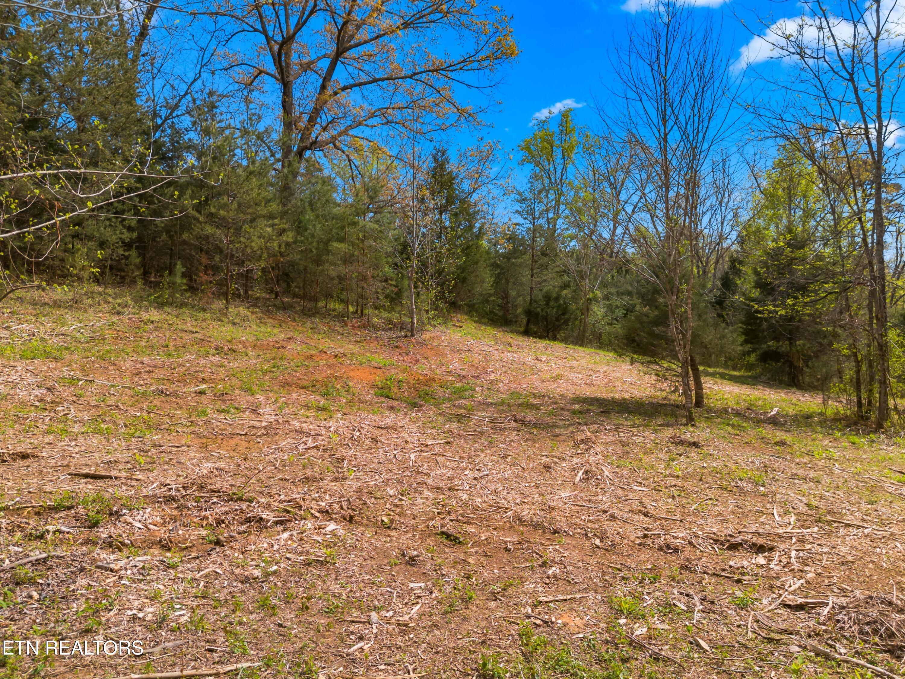 Bogard Road Newport, TN 37821 - Photo 17 of 38 012-BogardRoad-Cosby-TN-SMALL