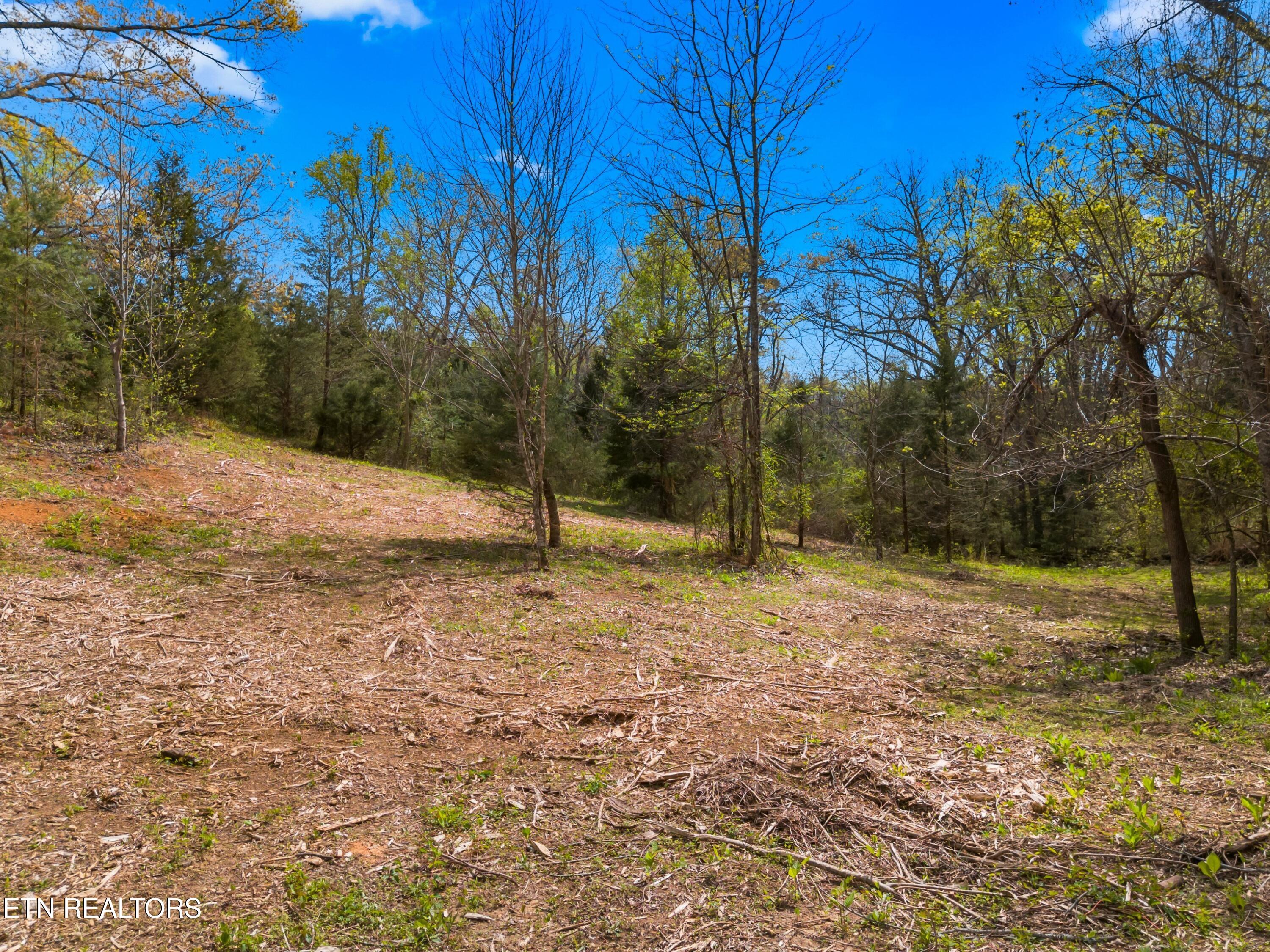 Bogard Road Newport, TN 37821 - Photo 18 of 38 013-BogardRoad-Cosby-TN-SMALL